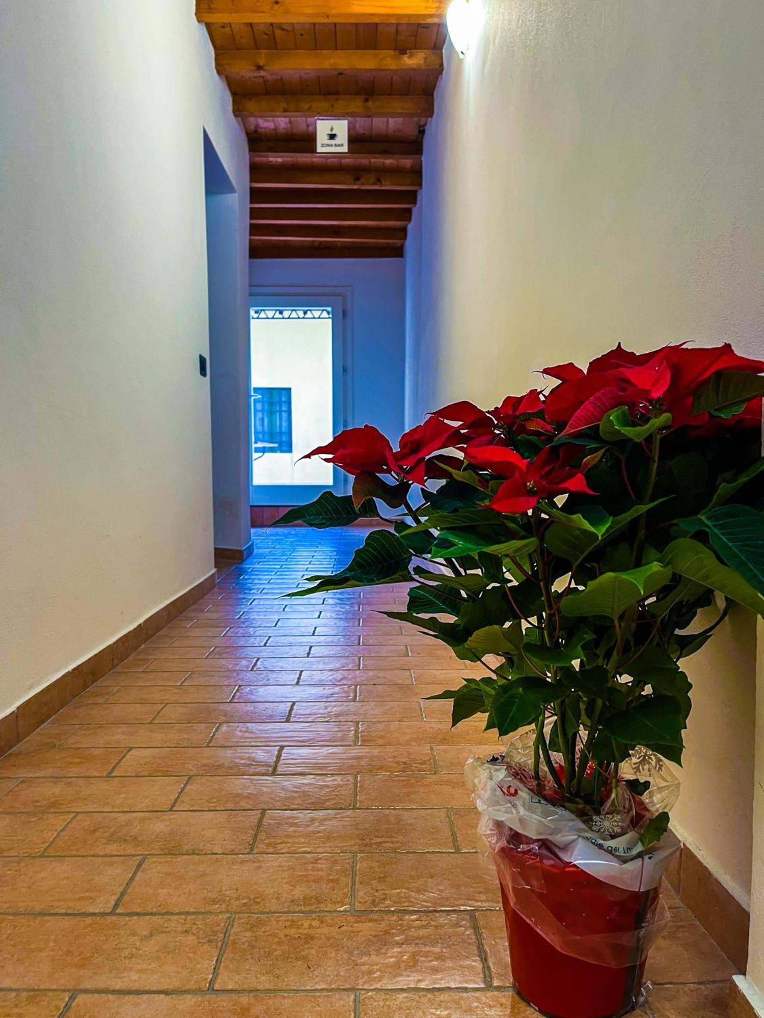 House Brennero 29 Apartment Carpi Luaran gambar
